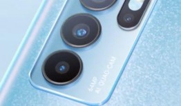 仙鱼最新爆料消息视频,最新爆料视频深度解析